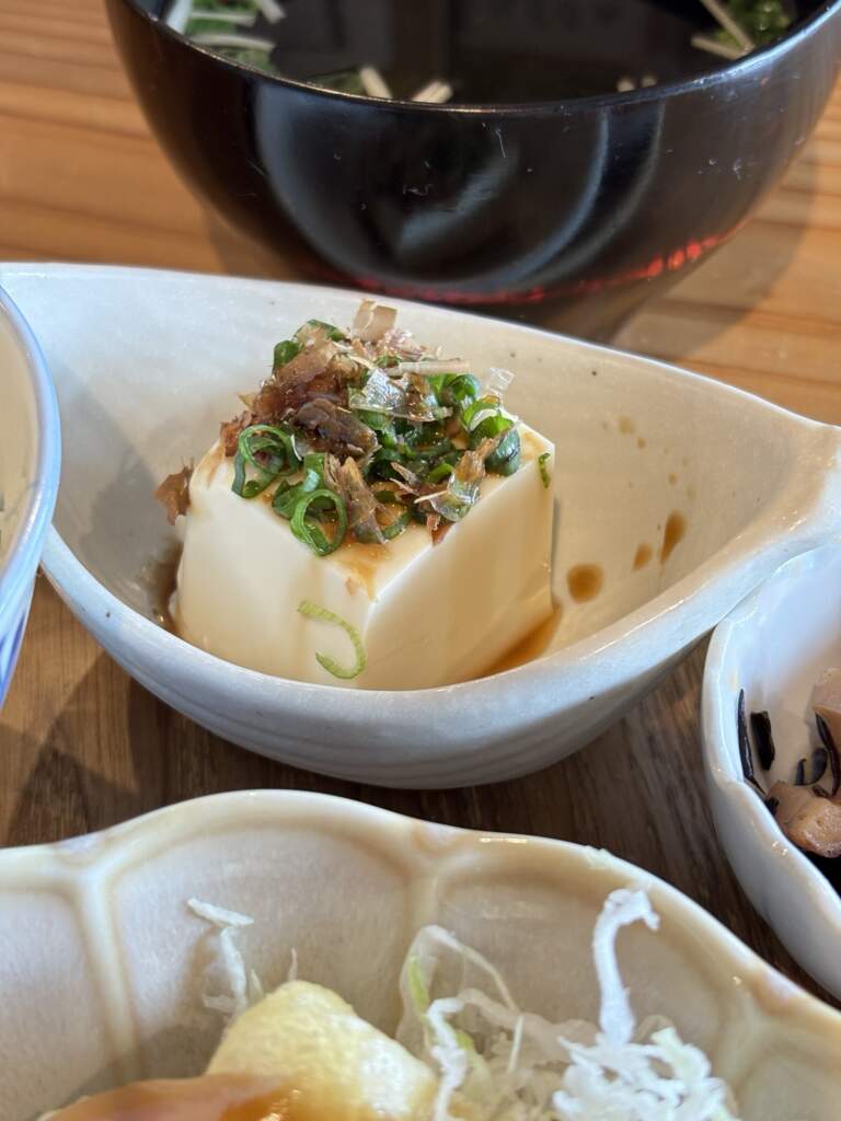 マッコ食堂 和泉市 ランチ