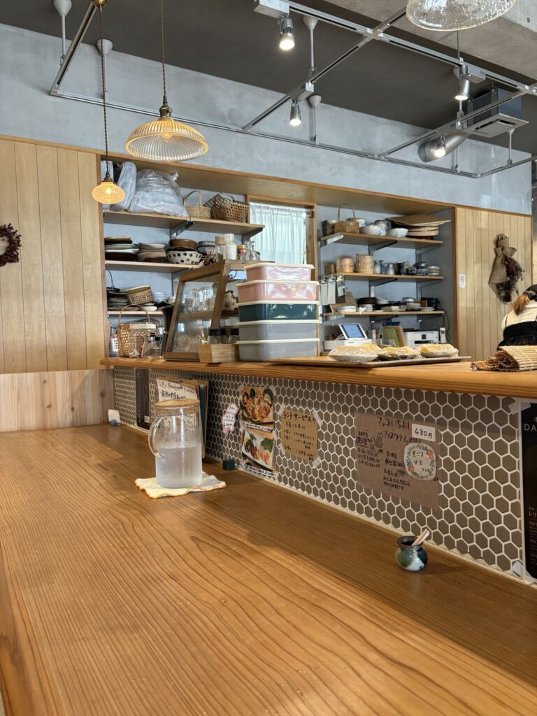 マッコ食堂 和泉市 ランチ